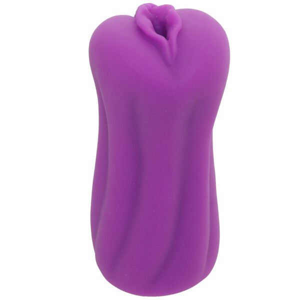 Anime Roxy Pussy Stroker - Image 3