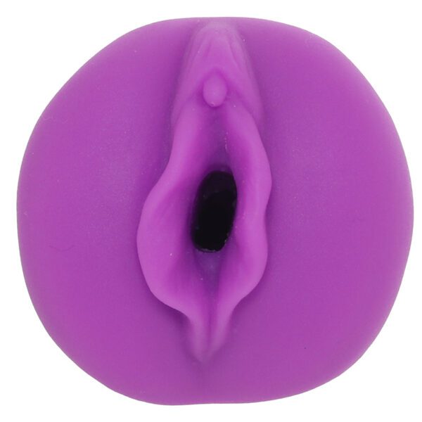 Anime Roxy Pussy Stroker - Image 2