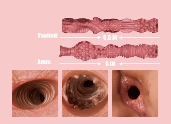 P72-8.82lb 6.5/5.5inch Dildo Diphallia Futanari  Double Penis Femboy Hentai Cheap Male shemale Sex Doll Torso | MRL - Image 12